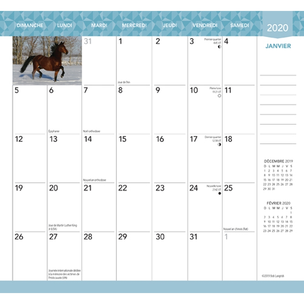 Chevaux 2yr Pocket Planner (French) thumbnail