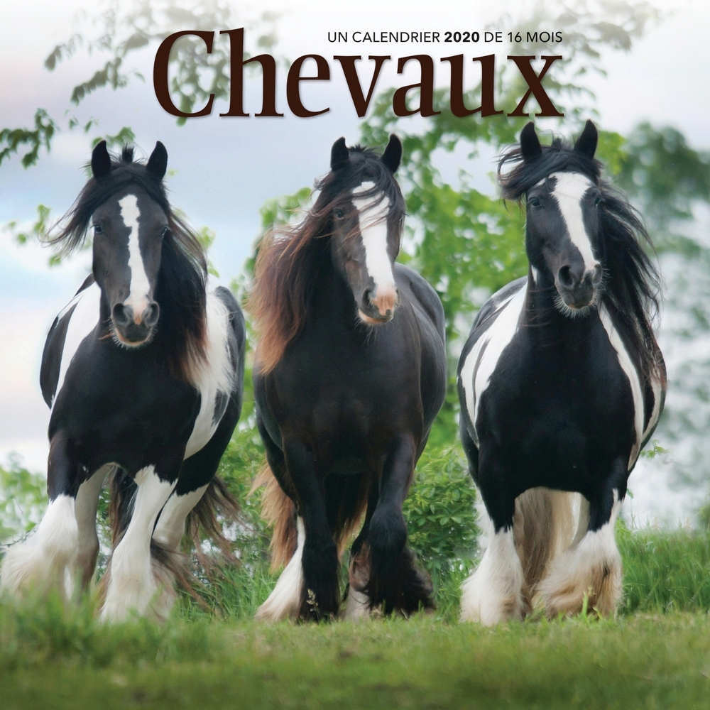 Chevaux Horses 2020 Mini Wall Calendar (French)