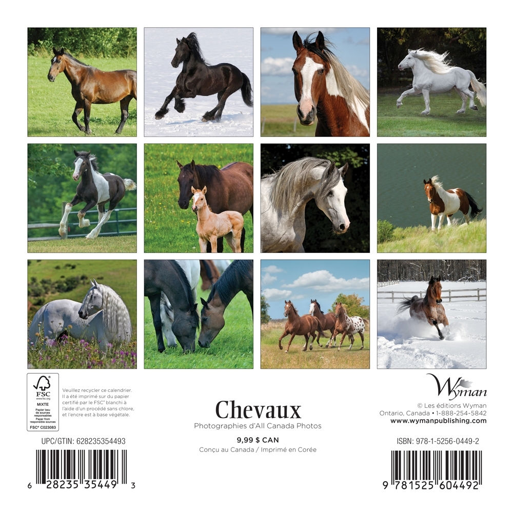 Chevaux Horses 2020 Mini Wall Calendar (French) thumbnail