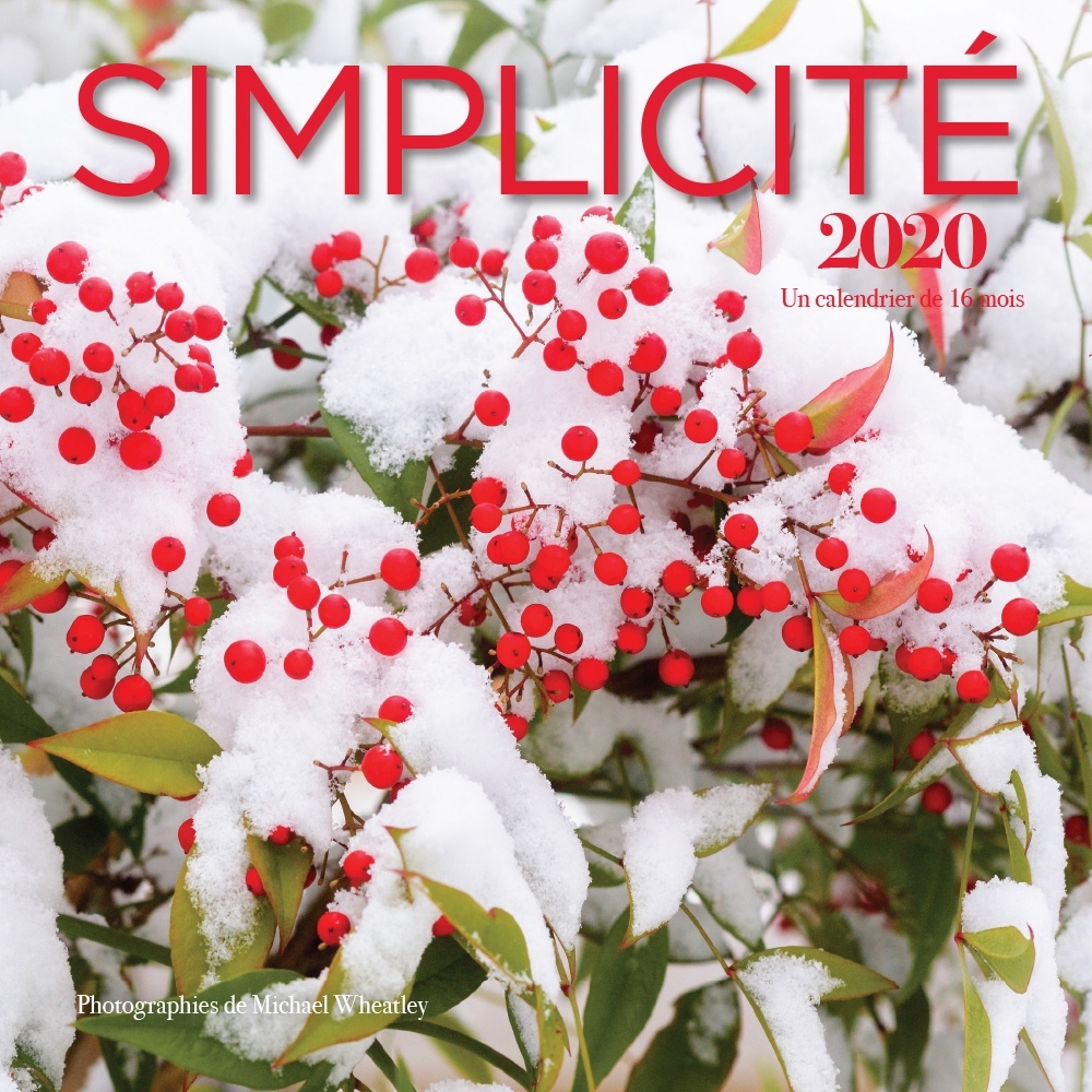Simplicite Mini Wall Calendar (French)