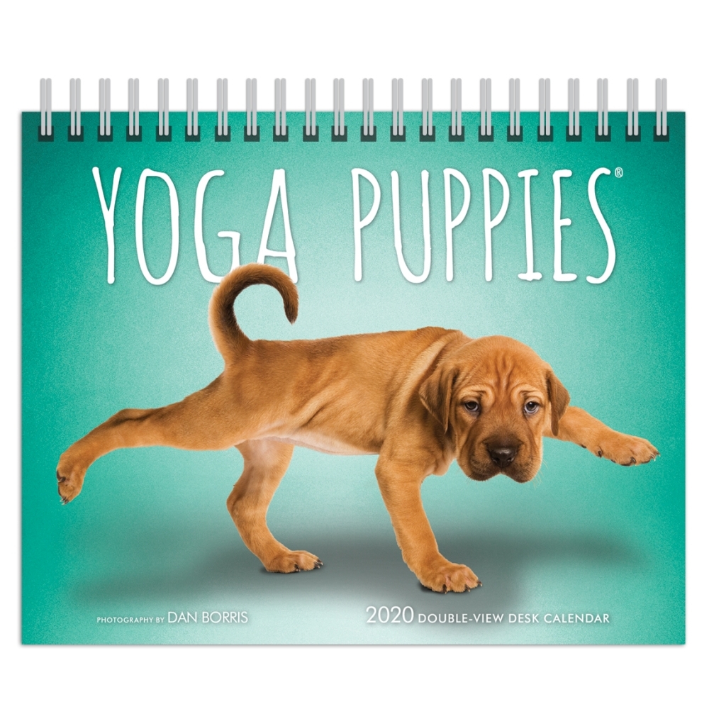 Yoga Puppies Easel Calendar