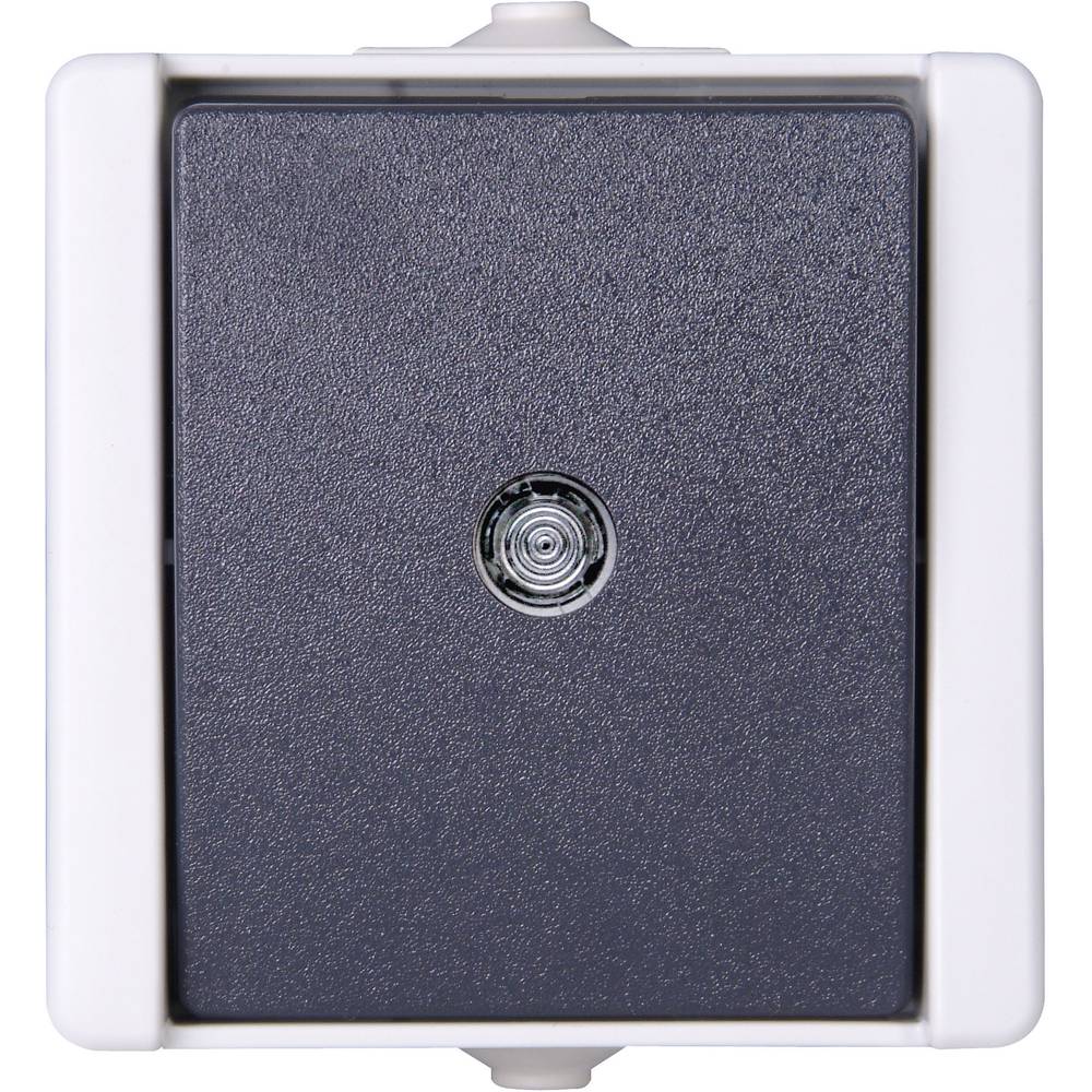 Taster AP-Feuchtraum ProAQA Grau, Beleuchtbar 10A, 250V (540396001)
