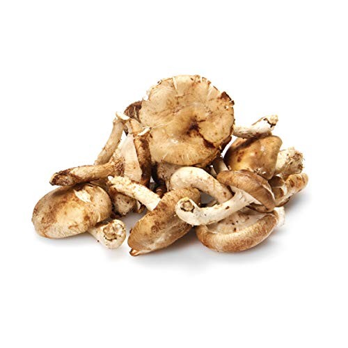 Mushroom Shiitake, 3.5 Ounce
