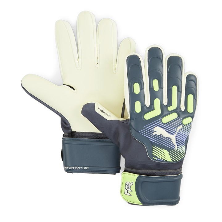 Puma Future Match Goalkeeper Gloves Adults - Grey