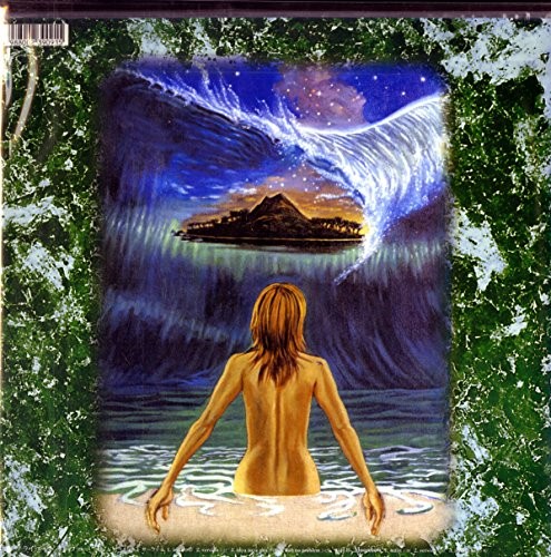 Private Surfer thumbnail