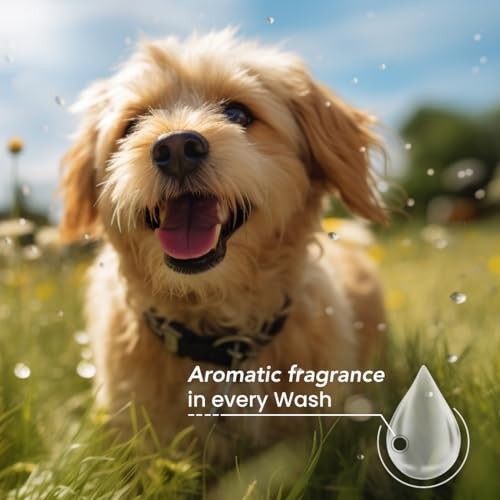Best Shot Ultra Dirty Plenish Conditioner, Ideal Pet Grooming Conditioner, Protein-Enriched Moisturizing Conditioner for Any Dog, Cat, or Horse, Agree thumbnail