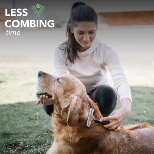 Best Shot Ultra Dirty Plenish Conditioner, Ideal Pet Grooming Conditioner, Protein-Enriched Moisturizing Conditioner for Any Dog, Cat, or Horse, Agree thumbnail