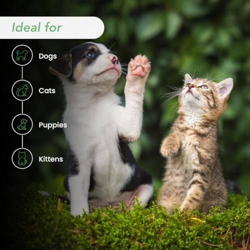 Best Shot Ultra Dirty Plenish Conditioner, Ideal Pet Grooming Conditioner, Protein-Enriched Moisturizing Conditioner for Any Dog, Cat, or Horse, Agree thumbnail