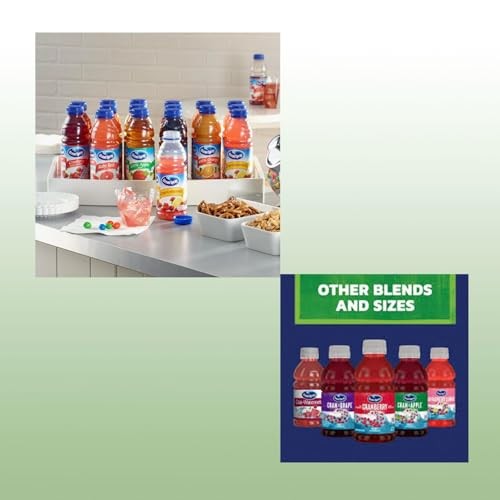 Ocean Spray Cran-Grape Juice Drink 10 Fl Oz Plastic Bottle 24 Pack thumbnail