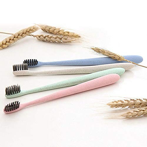 Brosse à Dents De Paille De Blé De Petite Tête De Paquet De Famille De 4 PièCES, Brosse à Dents Molle De Soies De Charbon De Bambou Pour Des Enfa