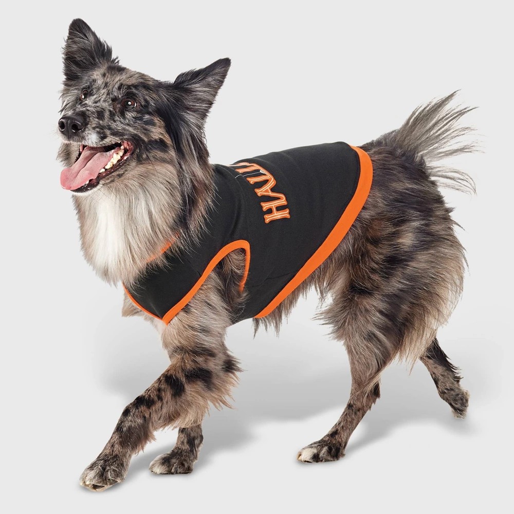 Photo 1 of (XL) Halloween Dog Sweatshirt - Hyde and EEK! Boutique size XL