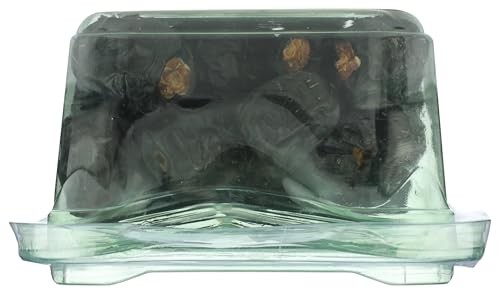 Ajwa Dates, 7 OZ thumbnail