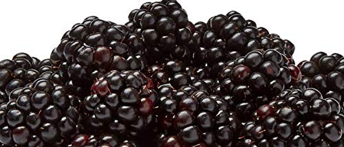 Blackberries, 6 Oz thumbnail