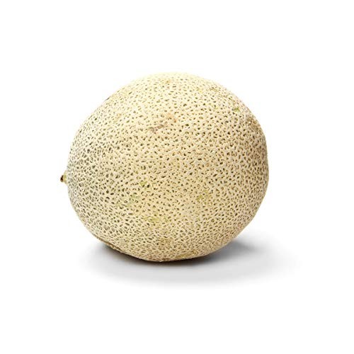 Organic Cantaloupe Melon