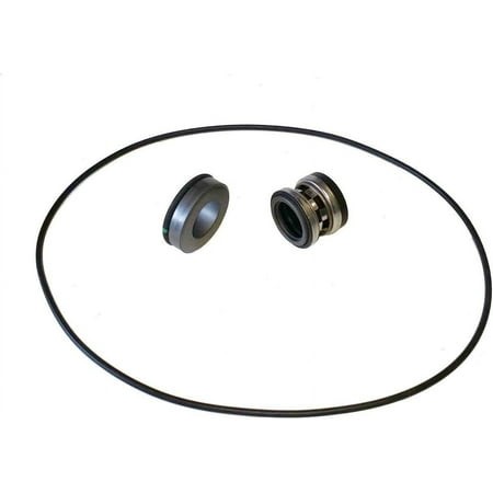 Life Guard Silicon Carbide Seal Kit (9302 & 9303 Models)(3430-0589)