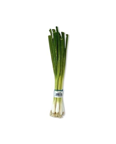 Green Onions (Scallions), One Bunch