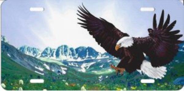Eagle Landing Offset Airbrush License Plate Free Names on This Air Brush