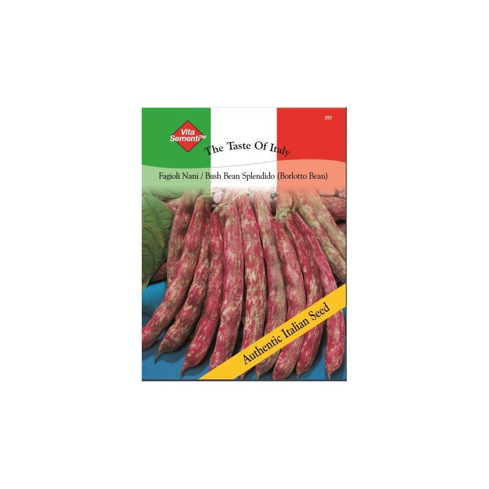 Thompson & Morgan - the Taste of Italy - Vegetables - Bush Bean Splendido (Red) - 60 Gram