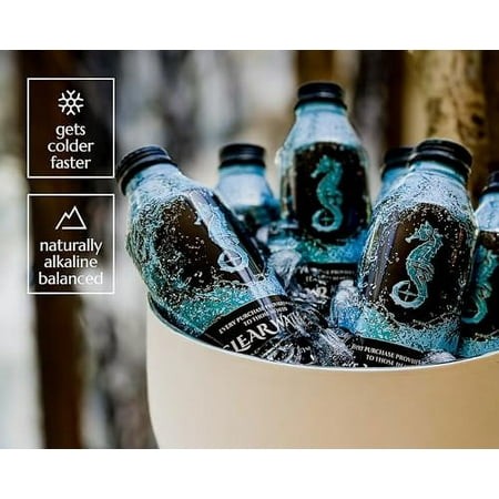 Clear Water  Mountain Spring Water in a BPA Free  Eco-Friendly  and Infinitely Recyclable 16 Oz. Resealable Aluminum Bottle  Naturally Alkaline with E