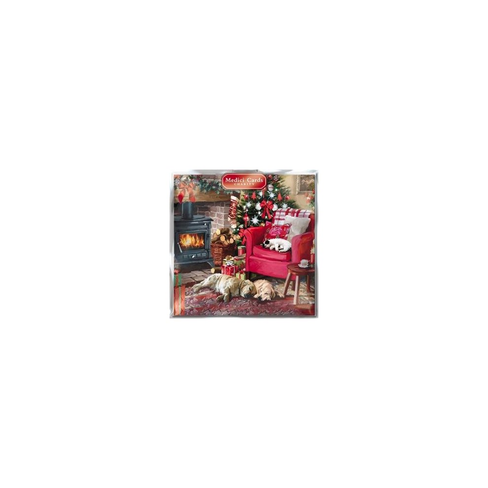 Medici Charity Christmas Cards - Cosy Christmas (5330) - Pack of 8 Cards Sold in Aid of Marie Curie Cancer Care, Parkinsons, Oxfam, CLIC Sargent,...