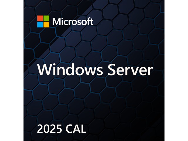 Microsoft Windows Server CAL 2025 English 1pk DSP OEI 5 Clt User CAL No Refund