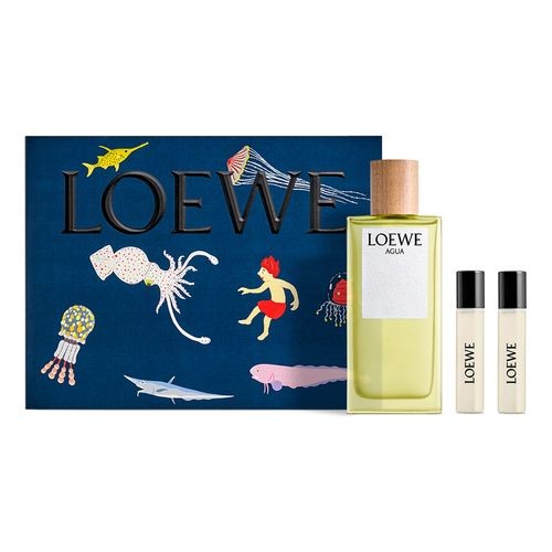 Loewe Agua Edt Spray 100ml New 24 Sets