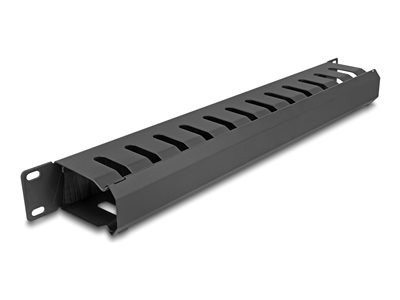 DeLOCK 19 Cable Management Routing Panel with Brush and 2 Openings 1U