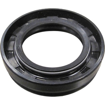 Skf 12989 - Seal
