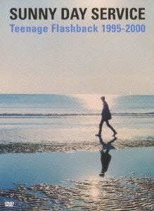 Teenage Flashback 1995-2000 [DVD]