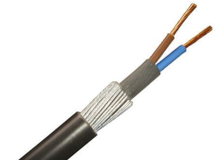 RS PRO 2 Core Armoured Cable with Polyvinyl Chloride PVC Sheath, SWA Galvanised Steel Wire, 29 a