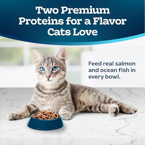 Blue Buffalo Tastefuls Multi-Protein Salmon & Ocean Fish Recipe Adult Cat Dry Food, 7 Lbs thumbnail