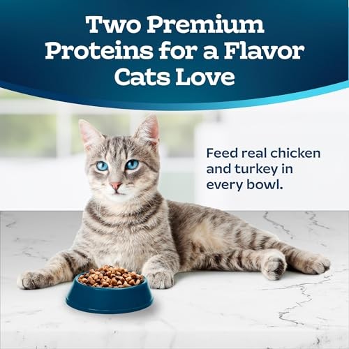 Blue Buffalo Tastefuls Multi-Protein Chicken & Turkey Recipe Adult Cat Dry Food, 7 Lbs thumbnail