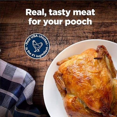 Blue Buffalo Nudges Jerky Cuts Natural Dog Treats - Chicken, 40 Oz thumbnail