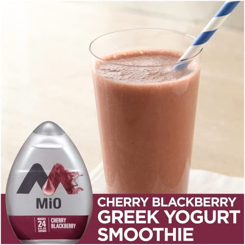 Mio Cherry & Blackberry Liquid Water Enhancer (1.62fl.oz Bottles, Pack of 12) thumbnail