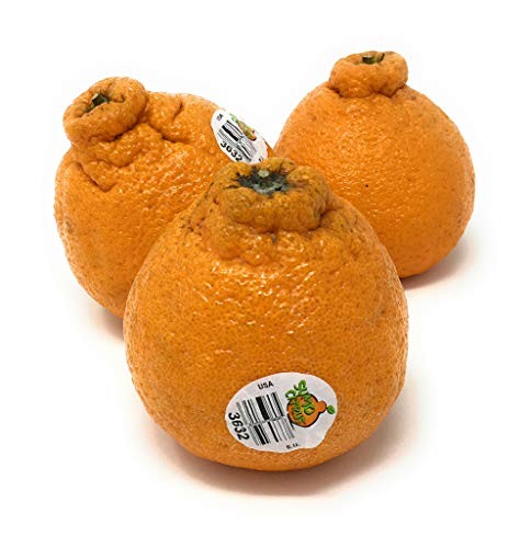 PRODUCE Dekopon Citrus Box, 48 OZ