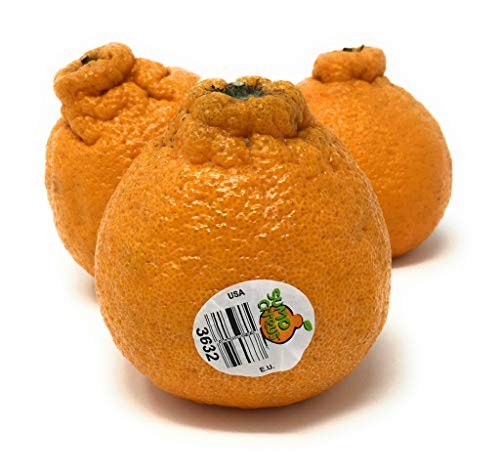PRODUCE Dekopon Citrus Box, 48 OZ thumbnail