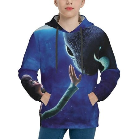 How to Train Your Dragon Youth Hoodies 3D Print Pullover Hooded Sweatshirt Unisex Casual Sweater Tops Blouse Long Sleeve Kids Hoodie X-Large