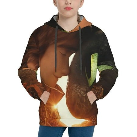 How to Train Your Dragon Youth Hoodies 3D Print Pullover Hooded Sweatshirt Unisex Casual Sweater Tops Blouse Long Sleeve Kids Hoodie X-Large