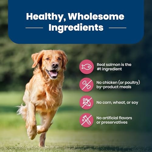 Blue Buffalo Life Protection Formula Adult Dry Dog Food  Salmon & Brown Rice  5 Lbs thumbnail
