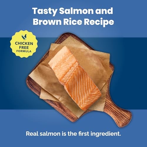 Blue Buffalo Life Protection Formula Adult Dry Dog Food  Salmon & Brown Rice  30 Lbs thumbnail