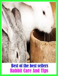 Best of the Best Sellers Rabbit Care and Tips (rabbit Banditry, Rabbit Board, Rabbit Brush, Rabbit Burrow, Rabbit Bush, Rabbit Ear, Rabbit Ear Mite, R