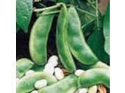 The Dirty Gardener Henderson Organic Bush Lima Beans, 20+ Seeds