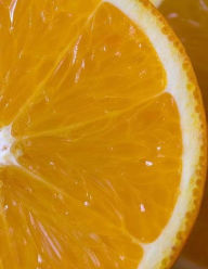 Orange Oranges Fruit Juice Fruits Health Healthy Nutrition Children Nutritionist: Notebook Large Size 8.5 X 11 Ruled 150 Pages Softcover Wild Pages Pr