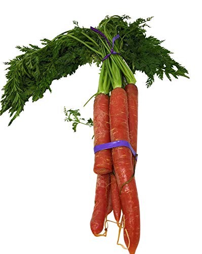 PRODUCE Organic Red Carrot Bunch, 1 EA
