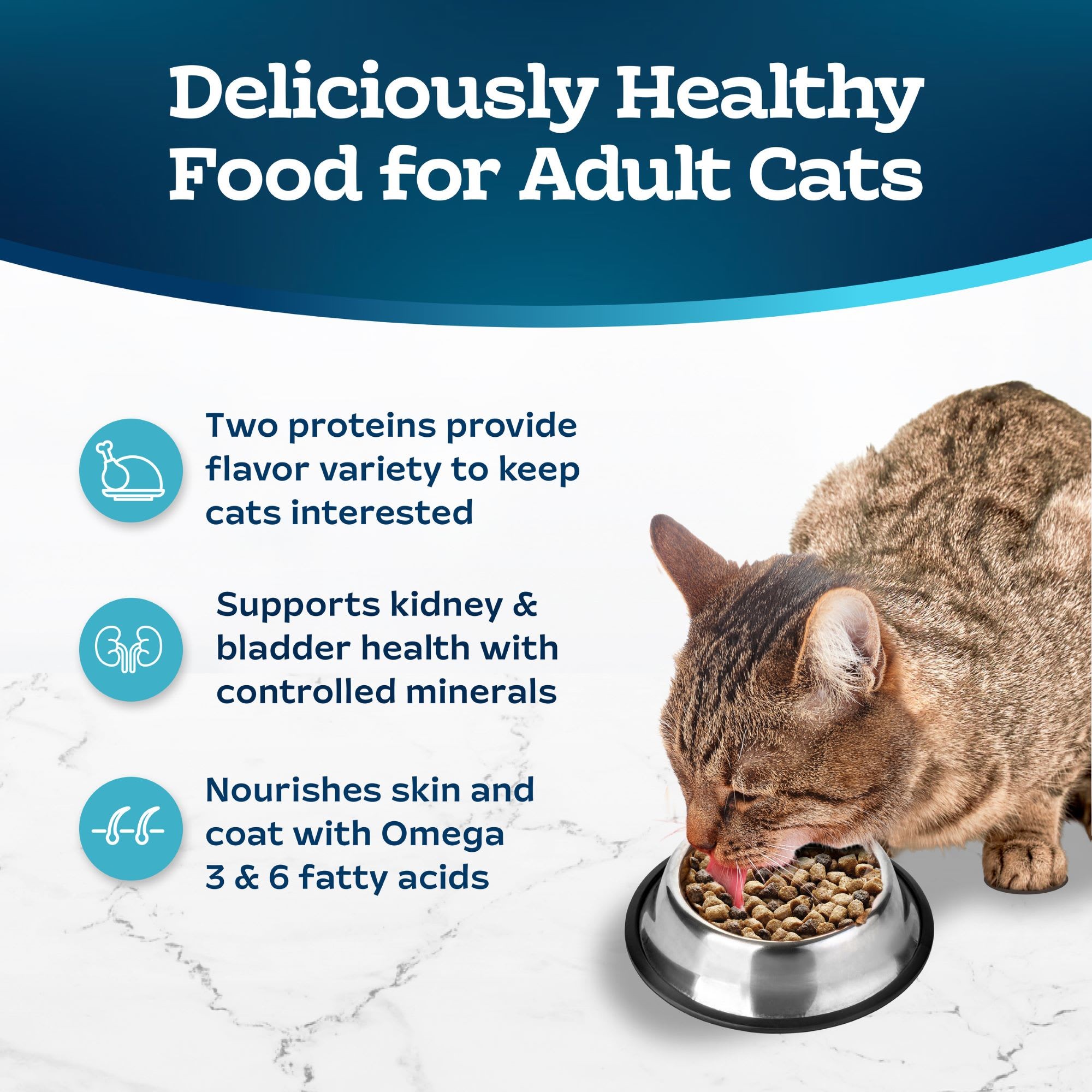 Blue Buffalo Tastefuls Multi-Protein Chicken & Turkey Recipe Adult Cat Dry Food, 3 Lbs thumbnail