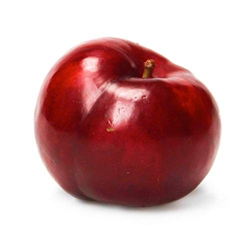 Plum Tree Ripe