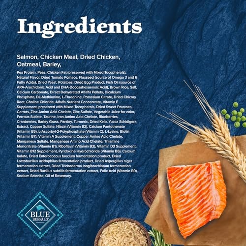 Blue Buffalo Wilderness High-Protein Natural Dry Food for Puppies  Salmon Recipe 4.5-lb. Bag thumbnail