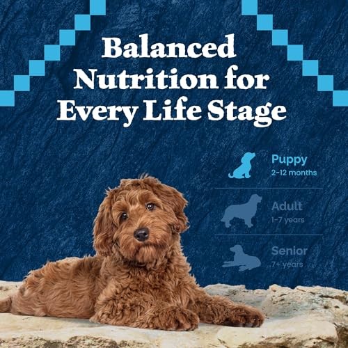 Blue Buffalo Wilderness High-Protein Natural Dry Food for Puppies  Salmon Recipe 4.5-lb. Bag thumbnail