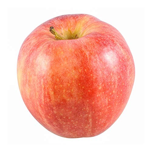 Gala Apple, 1 Each