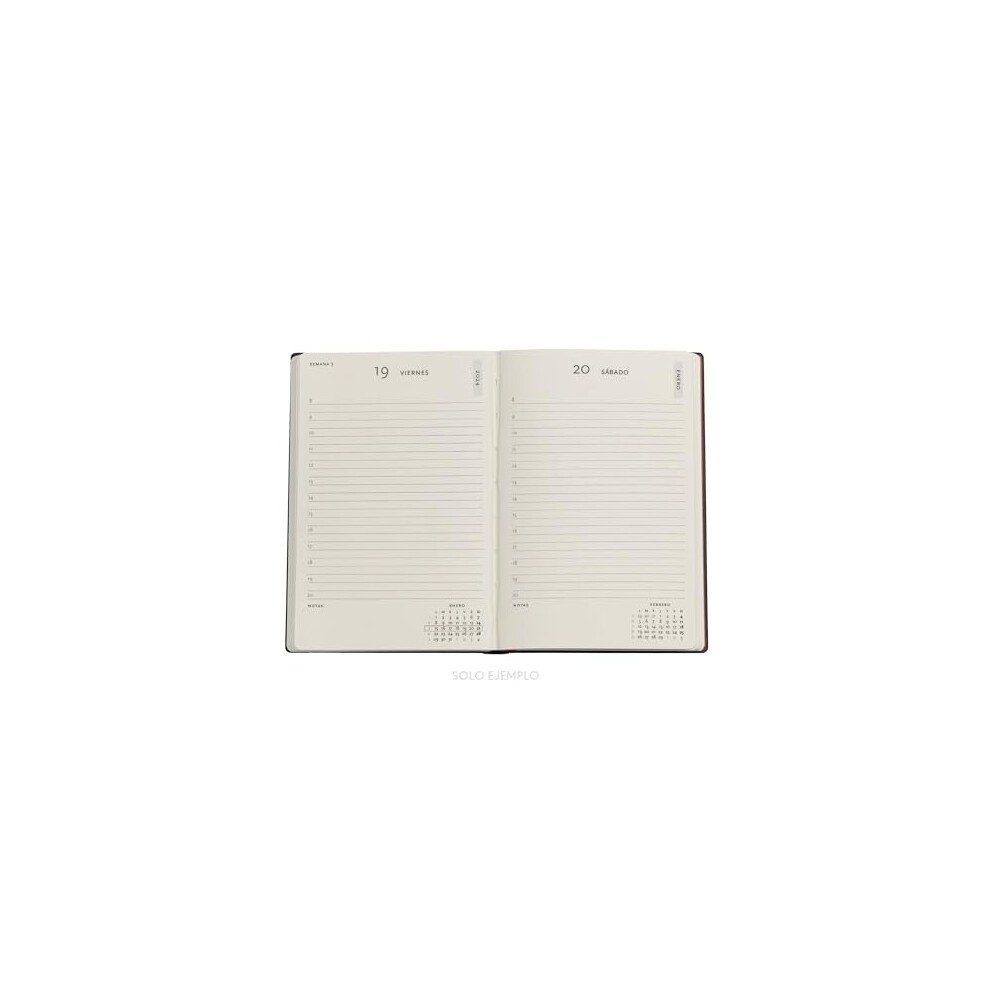 Marie Curie 12-Month Calendar 2024, the Science of Radioactivity, Day Overview, Mini (100  140 Mm) thumbnail